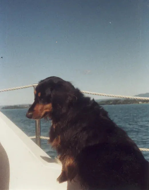 Benson's Prostate Cancer and Urinary Problems