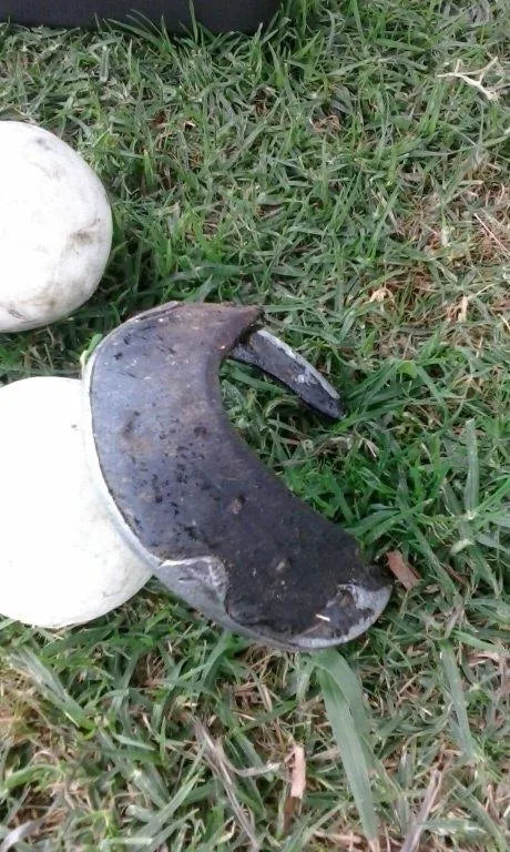 Half a Horse’s Hoof at the Polo Grounds