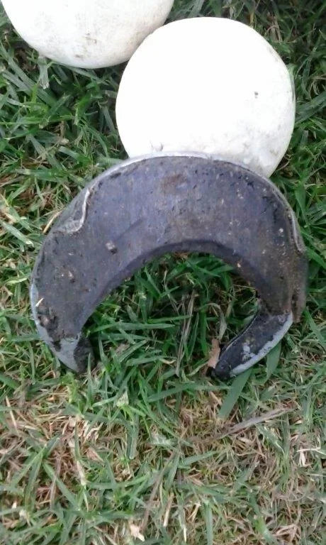 Half a Horse’s Hoof at the Polo Grounds