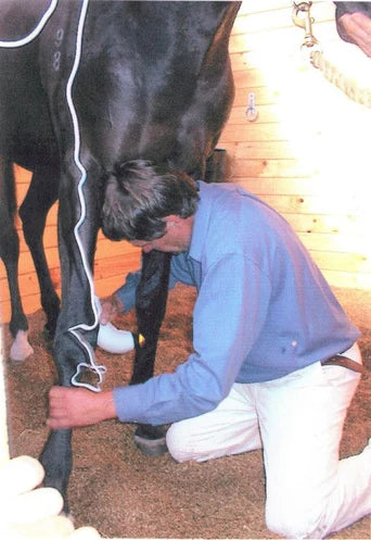 Horse Hoof Inflammation, Bruise and Swelling