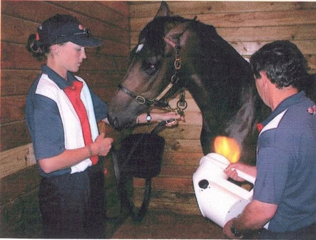 Horse Immune System Stimulation