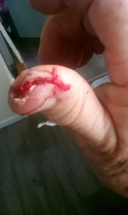 Sliced Thumb From Horse Tooth